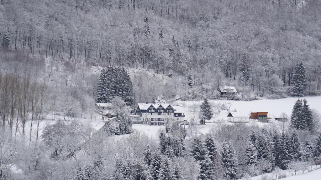 Waldhotel Schinkenwirt Eisenberg 2, 59939 Olsberg