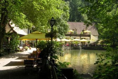 Waldhotel Silbermühle Neuer Teich 57, 32805 Horn-Bad Meinberg