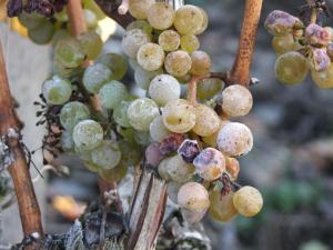 Weingut Lehnert-Veit Gutshotel