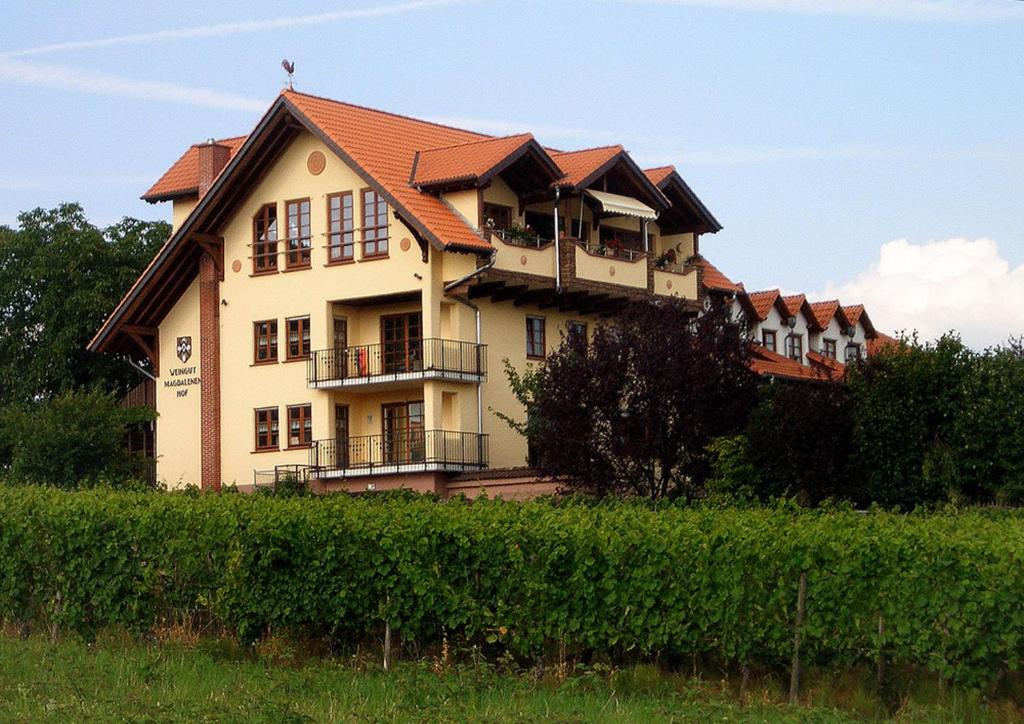 Weingut Magdalenenhof Marienthaler Str.90, 65385 Rüdesheim am Rhein