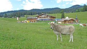 Winklmoos Sonnenalm