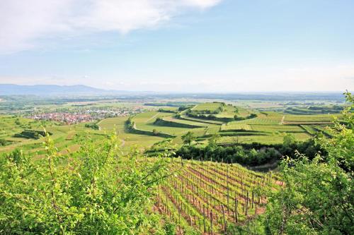 Hôtel Hotel Winzerstube Wasenweiler Straße 36 Ihringen