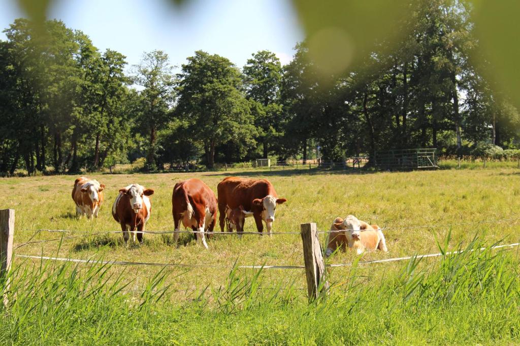 Zur Querensteder Mühle Querensteder Straße 13, 26160 Bad Zwischenahn