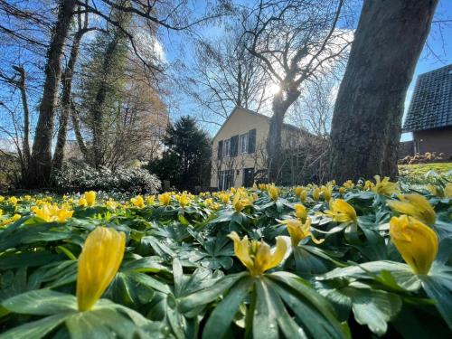 Maison de vacances HR Cottage am Honigbach Vogelsang 22 A Coesfeld