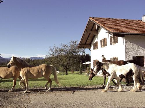 Maisons de vacances Huberhof Zell 17 Wonneberg