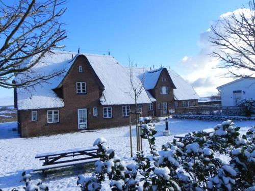 Hus Waasluuper *Seeschwalbe* Norddorf auf Amrum allemagne