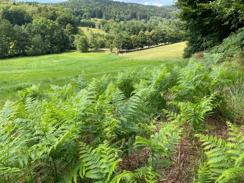 Hüttenflair im Gut Sonnenwald Schöllnach allemagne