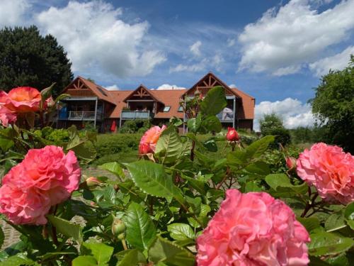 Ich kenne ein Haus am Meer Neuendorf allemagne