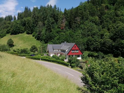 Idyllic holiday home in a mansion with garden in the beautiful Black Forest Oppenau allemagne