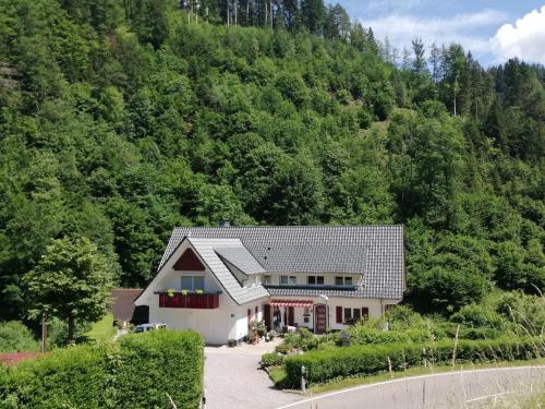 Appartement Idyllic holiday home in a mansion with garden in the beautiful Black Forest  Oppenau