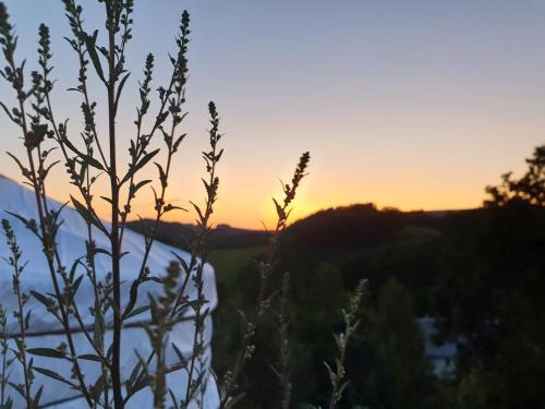 Tente de luxe Idyllische Jurte in der Sächsischen Schweiz Horn 9 Jurtengelände Sebnitz