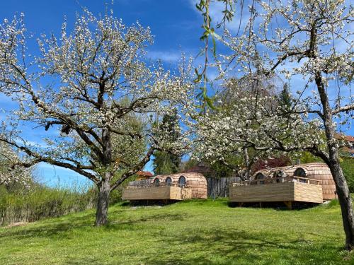 IGLUCAMPING Allgäu-Bodensee Wangen im Allgäu allemagne