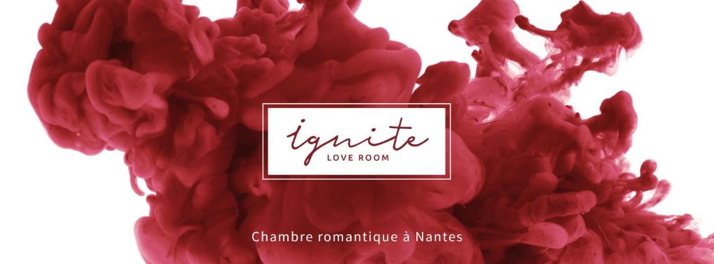 Appartement Ignite Love Room 14 Rue des Carmélites, 44000 Nantes