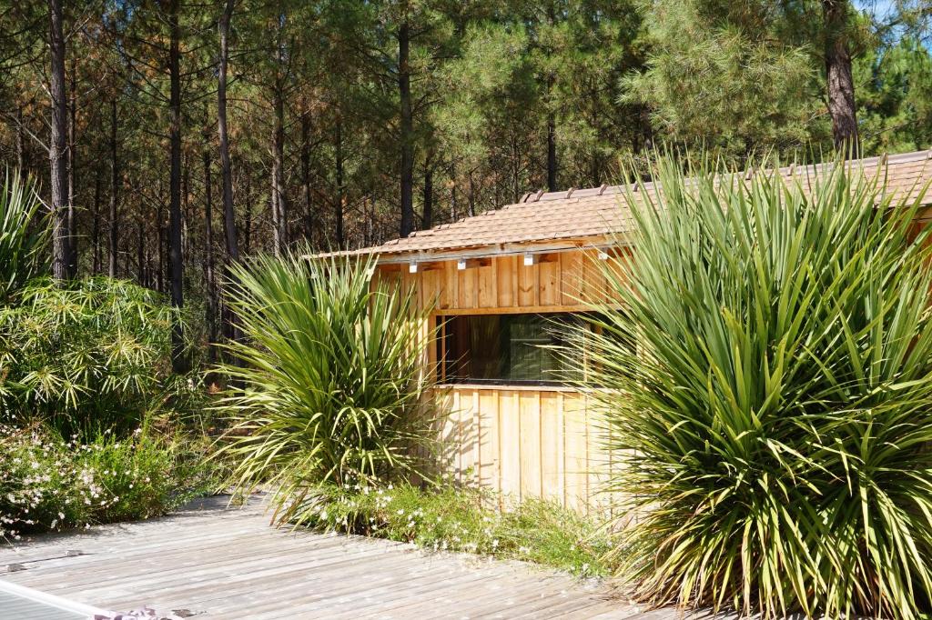 Maison de vacances Immersion Forêt Cabane bois Lège Cap Ferret 1-4p Allée de la Callune, 33950 Lège-Cap-Ferret