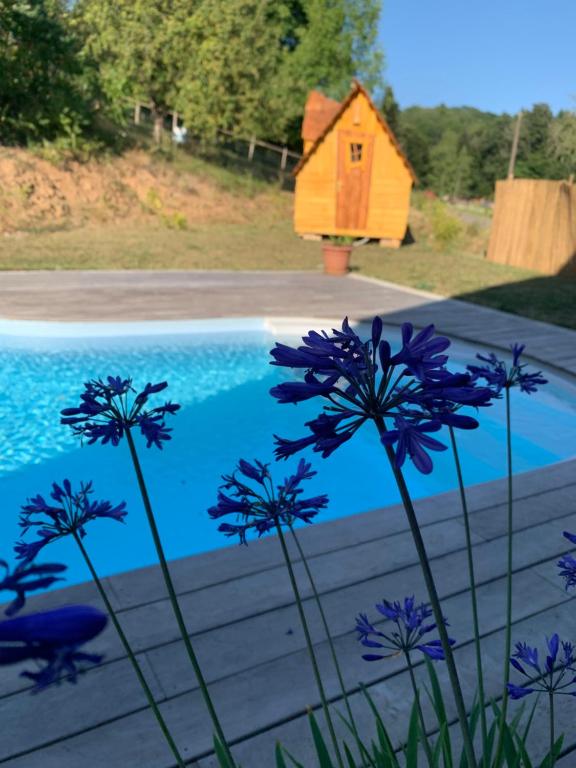 Lodge Insolite avec piscine Au Bonheur Comtois 1 Rue d'Orière, 70250 Ronchamp