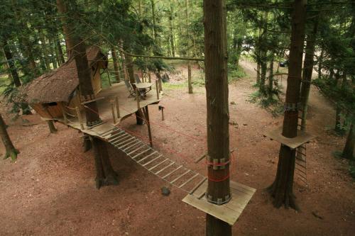 B&B / Chambre d'hôtes Insolite dans les arbres Les Ormes, Epiniac Les Ormes Epiniac