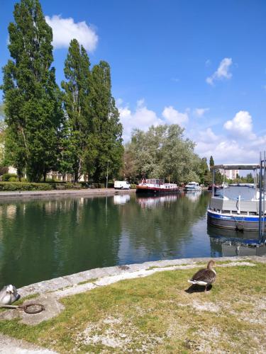 Insolite, péniche en plein coeur de Dijon. Dijon france