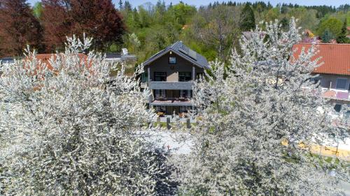 INVITA Natur-Chalets Bad Dürrheim allemagne