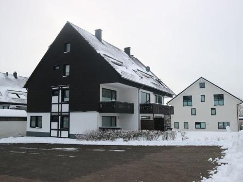 Inviting apartment in Winterberg near the ski area Winterberg allemagne