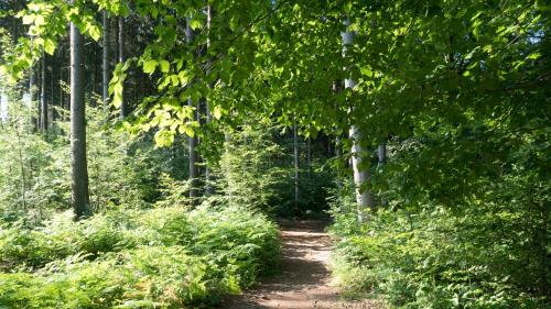 Hôtel ITM Hotel Bettkästchen am Sachsenwald 40 Schönningstedter Straße Reinbek