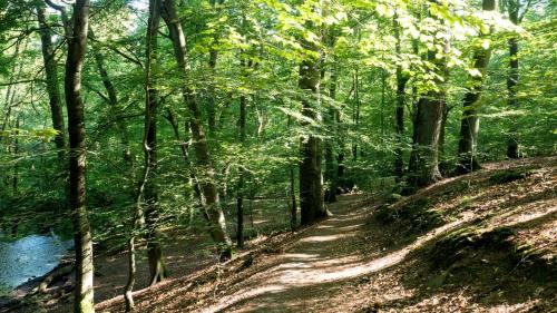 ITM Hotel Bettkästchen am Sachsenwald Reinbek allemagne