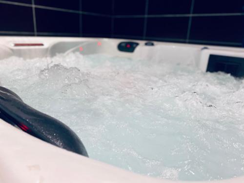 JACUZZI dans appartement T2 centre-ville Rouen france