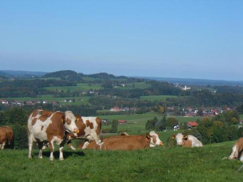 Jaklhof Frasdorf allemagne