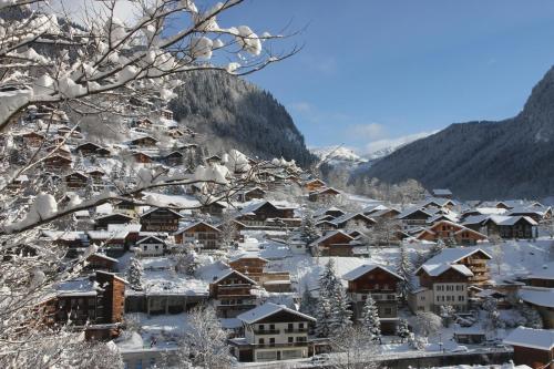 Appartement Jangilau A1 97 TDM de la Chenalette Morzine