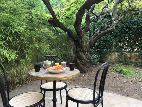 Jardin au calme, au cœur d'un hôtel particulier Avignon france