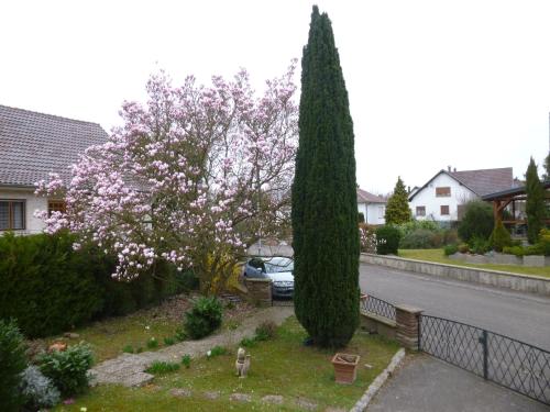 Jardin Fleuri Lingolsheim france