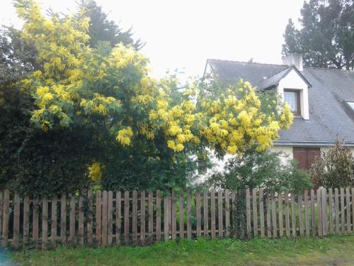 Maison de vacances Jervl 1 Bis Allée Du Norwen Piriac-sur-Mer