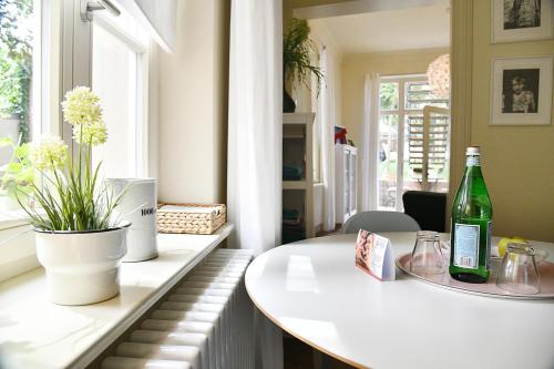 Appartement JETHON Studio-Appartement im Grünen Annenstraße 23 Erdgeschoss Bernburg