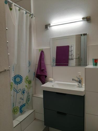 Appartement JINA 12 Rue de Rome Strasbourg