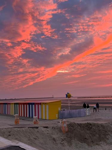 Appartement Joli 2 pièces au cœur de malo proche de la plage ,la Maison Bleue 20 Avenue Gaspard Malo Dunkerque