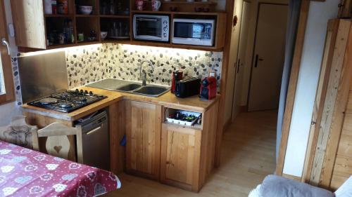 Joli petit appartement cosi 5 personnes maxi plein centre station les deux alpes Les Deux Alpes france