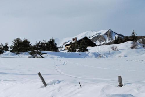 Appartement Joli Studio à la Montagne Bd des Templiers, Les Olympiades Auron