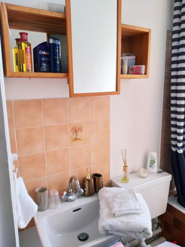 Appartement Joli studio chaleureux, à louer entièrement Avenue de la République Montrouge