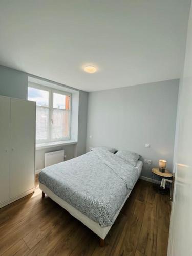 Appartement Joli T2 centre-ville, calme et lumineux côté cour Etage 1 21 Rue Claude Delaroa Saint-Étienne