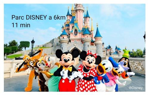 Jolie dépendance cosy et individuelle a 2 pas de Disneyland Chalifert france