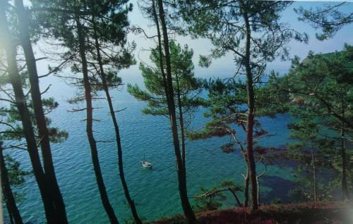 Maison de vacances Jolie maison au calme à 2 mn des plages pour 6 personnes 11 Impasse de la Reine Guenièvre Douarnenez