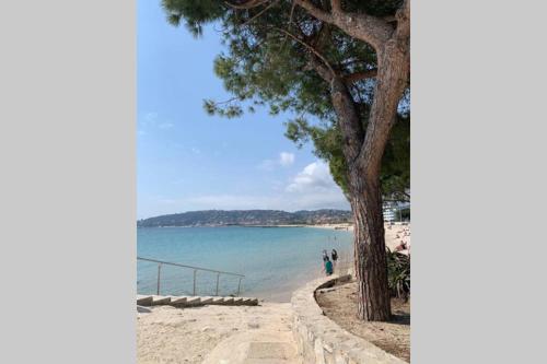 Appartement Juan les Pins : Joli T2 83 Boulevard Raymond Poincaré Antibes