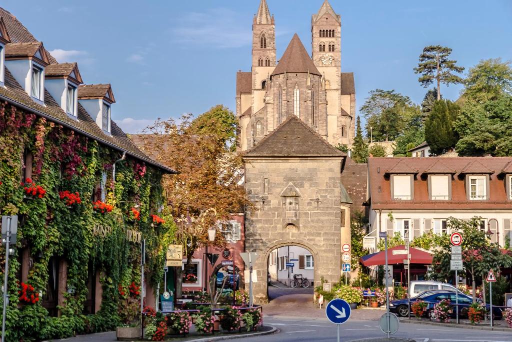 Hôtel Kaiserstühler-Hof Richard-Müller-Straße 2, 79206 Vieux-Brisach