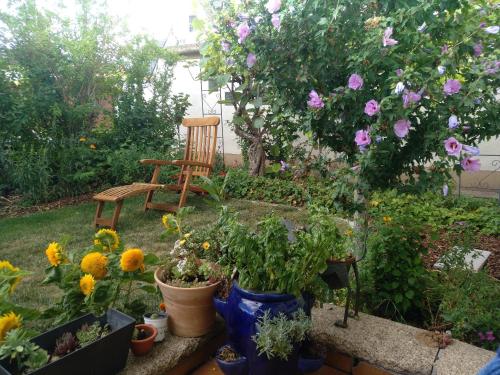 Appartement Kakteengarten 13 Gartenstraße Böchingen