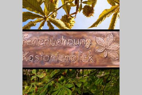 Kastanienblick Sankt-Andreasberg allemagne