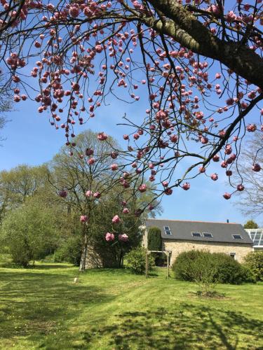 B&B / Chambre d'hôtes Kericouette et Délices 1 Kericouet d’en bas Le Vieux-Bourg