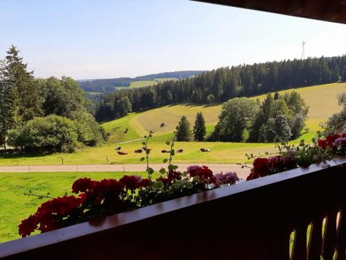 Appartements Klausenhof Vorderlauben 5 Schonach