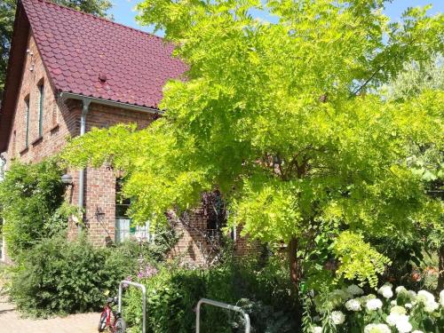 Kleine Pension Ueckermünde allemagne