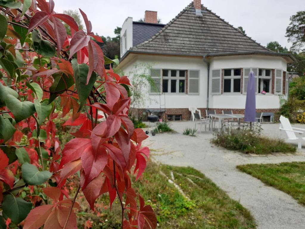 Maison de vacances Kleines Landhaus am Wald Bad Saarow 7 Jägerstraße, 15526 Bad Saarow