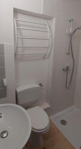 Appartement Kleines Studio 07, für den kurzen Aufenthalt 9 Neckarsteinacher Straße 0 Schönau im Schwarzwald