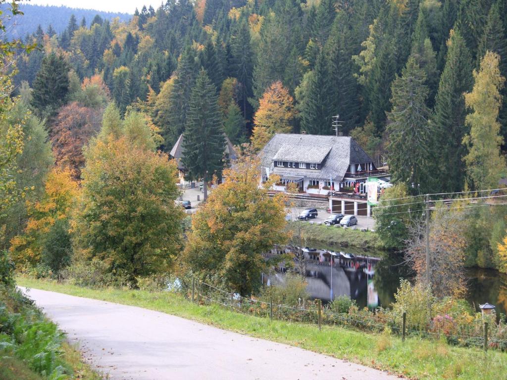 Hôtel Klosterweiherhof Am Klosterweiher 3, 79875 Dachsberg im Schwarzwald